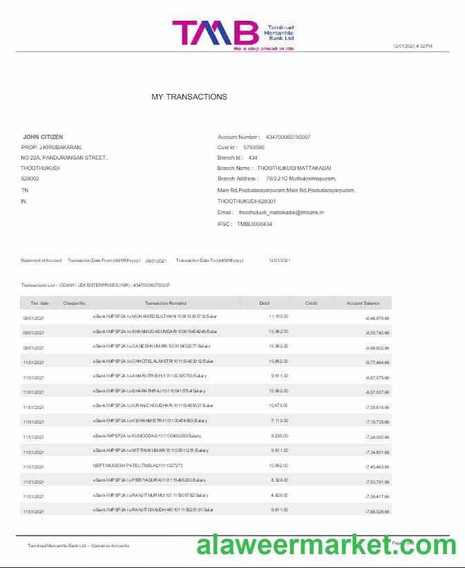 India TAB bank statement Word and PDF template scr